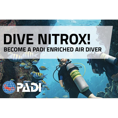 PADI Enriched Air Nitrox Course W/One 2-Tank Dive Boat Dive